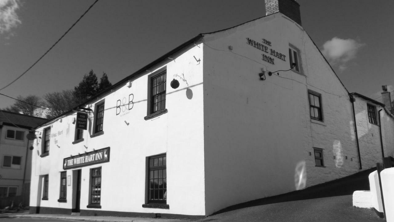 White Hart Inn 보드민 외부 사진